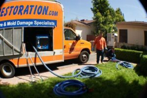 Sewage Backup Cleanup